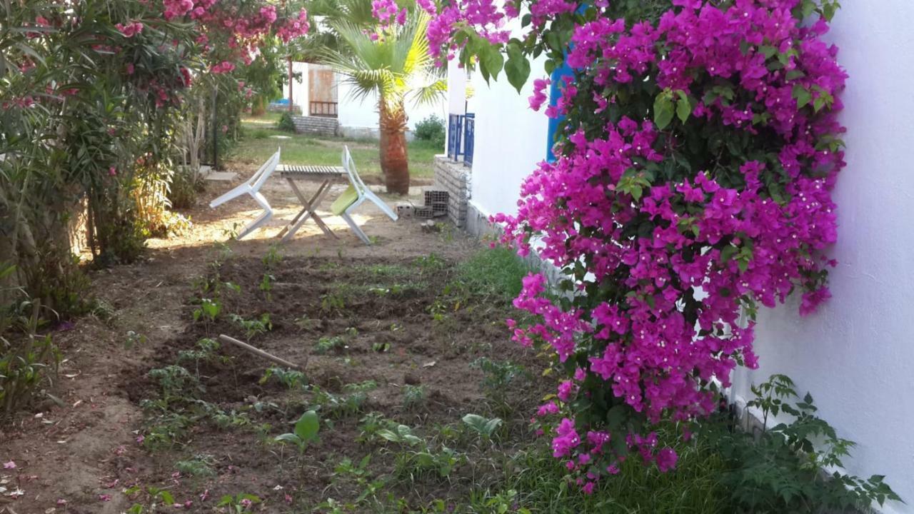 Alfa Apartments Bodrum Eksteriør bilde