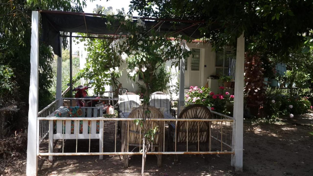 Alfa Apartments Bodrum Eksteriør bilde