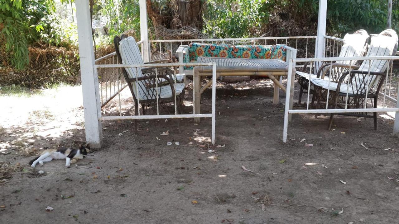 Alfa Apartments Bodrum Eksteriør bilde